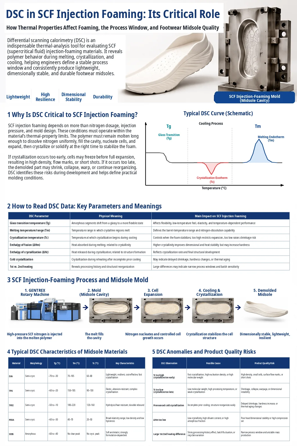 Integrated overview of DSC analysis, SCF injection foaming, and footwear midsole quality