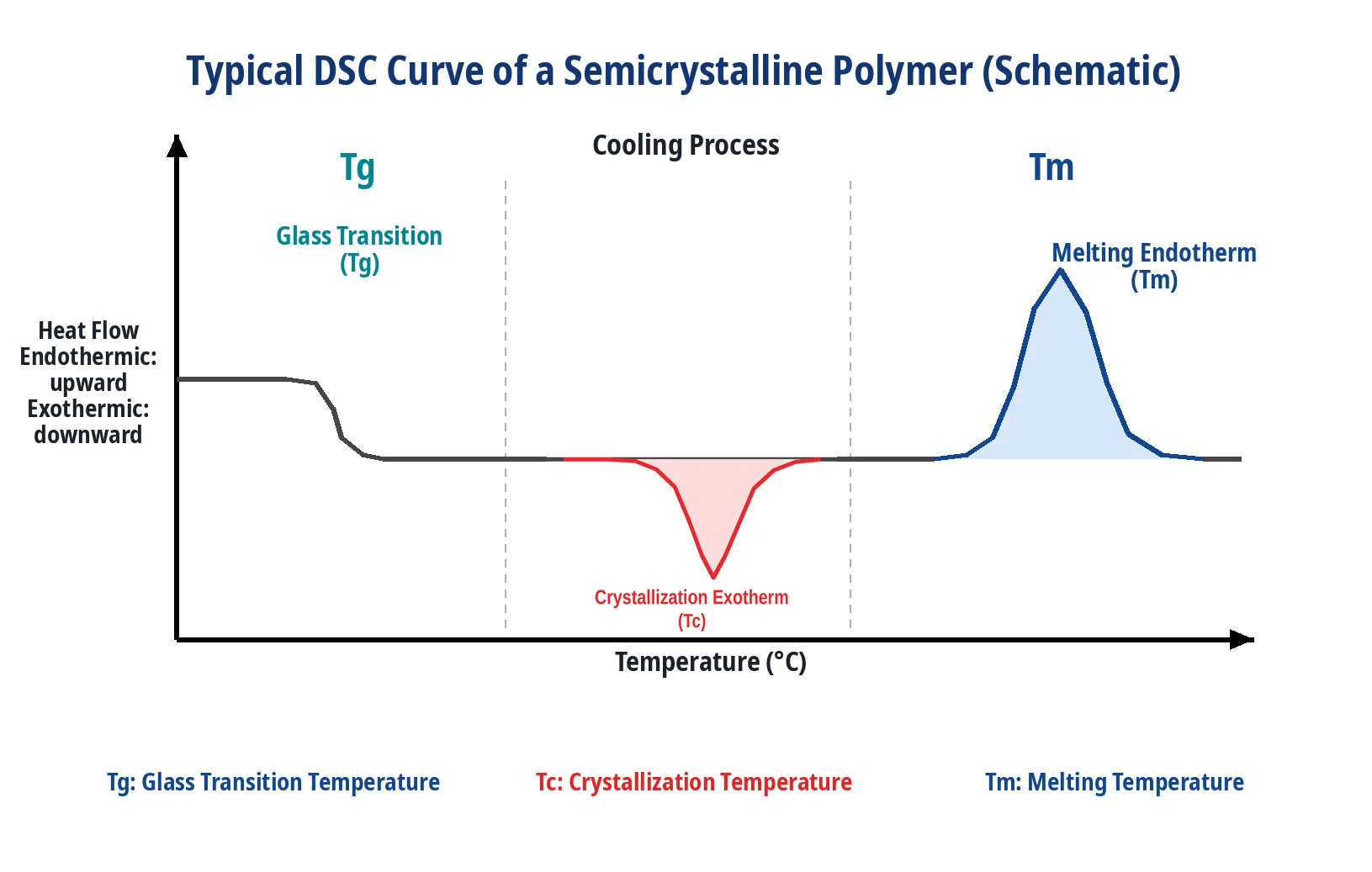 Typical DSC curve of a semicrystalline polymer showing Tg, Tc, and Tm