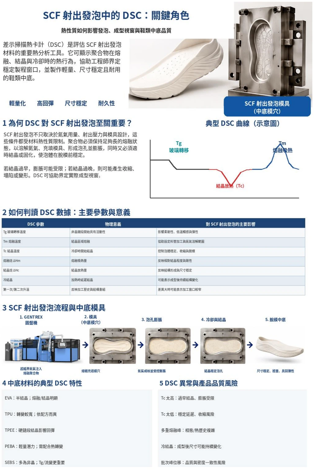 DSC 分析、SCF 射出發泡與鞋中底品質整合圖