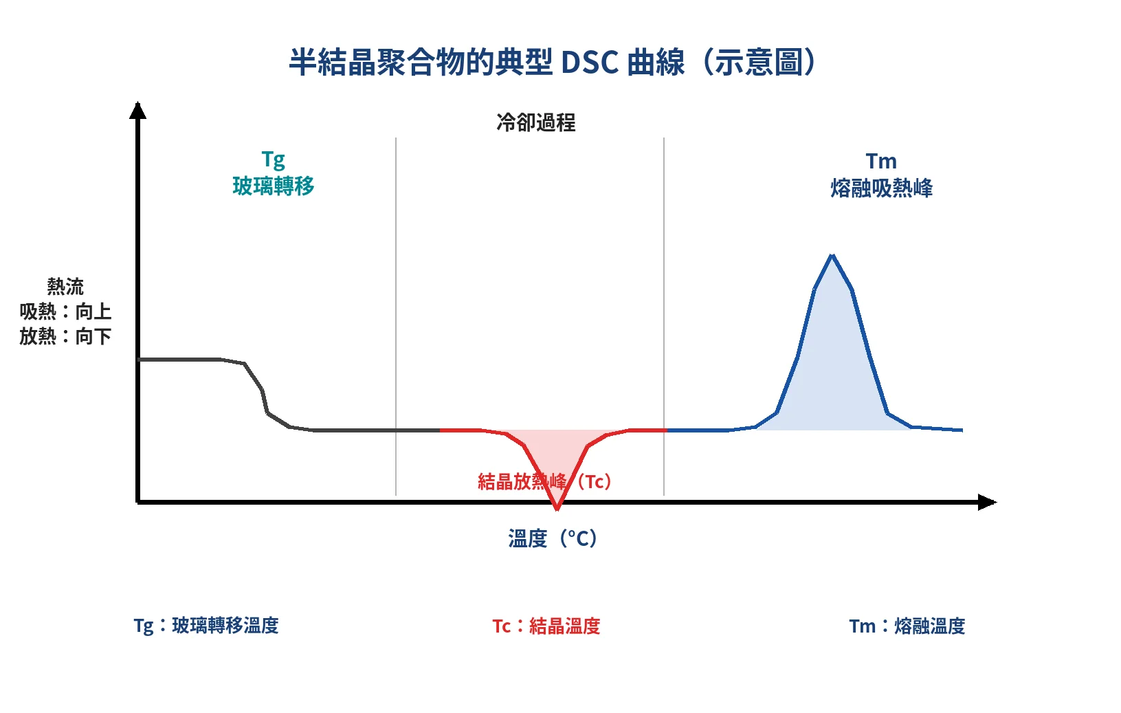半結晶聚合物典型 DSC 曲線,標示 Tg、Tc 與 Tm