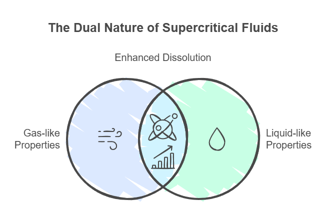 The Dual Nature of Supercritical Fluids