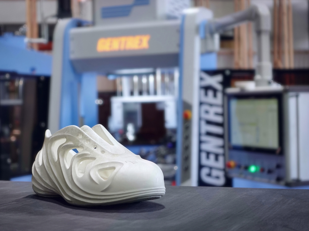 shoe_with_gentrex